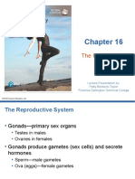 The Reproductive System: Lecture Presentation by Patty Bostwick-Taylor Florence-Darlington Technical College