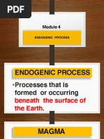 Module 4 Endogenic Processes PDF