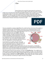 The Anatomy of The Eye