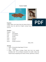 Cengkeh PDF