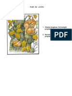 Formulam Propozitii PDF