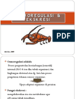 7 Osmoregulasidanekskresi PDF