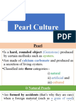 Pearl Culture