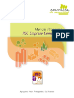 MANUAL PEC COMPETITIVA V2019.pdf