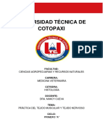 Tejido Muscular y Nervioso PDF