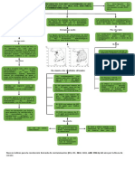 Mapa Conceptual