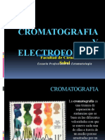 Cromatografía y electroforesis técnicas separación