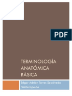 Terminología Anatómica Básica