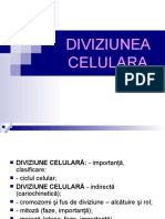 Divizunea Celulară