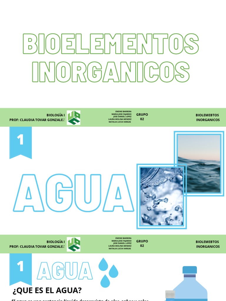 Importancia de Agua y Bioelementos Inorgánicos | PDF | Gases | Agua dulce