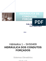 Aula12 SHS409 2014 PDF