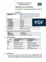 INFORME DE CONSISTENCIA NUEVA ESPERANZA