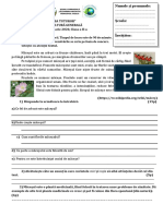 Subiect Județeană PPCT Cls. a-II-a PDF