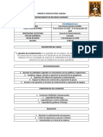 Formato Convocatoria Laboral