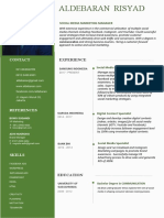 CV Template 5.docx