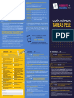 Triptico PESE - Plebiscito 2020.pdf