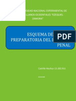 ESQUEMA DE LA FASE PREPARATORIA DEL PROCESO PENAL