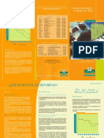 Triptico Que Es Mutual PDF