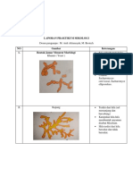 Tugas Praktikum Mikologi