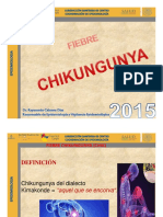 CapacitaciÃ N Chikungunya Mayo2015ray4