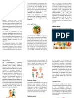 Folleto Habitos de Vida Saludable PDF