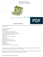 Aldea Macro - Defensiva - Mundo Travian PDF