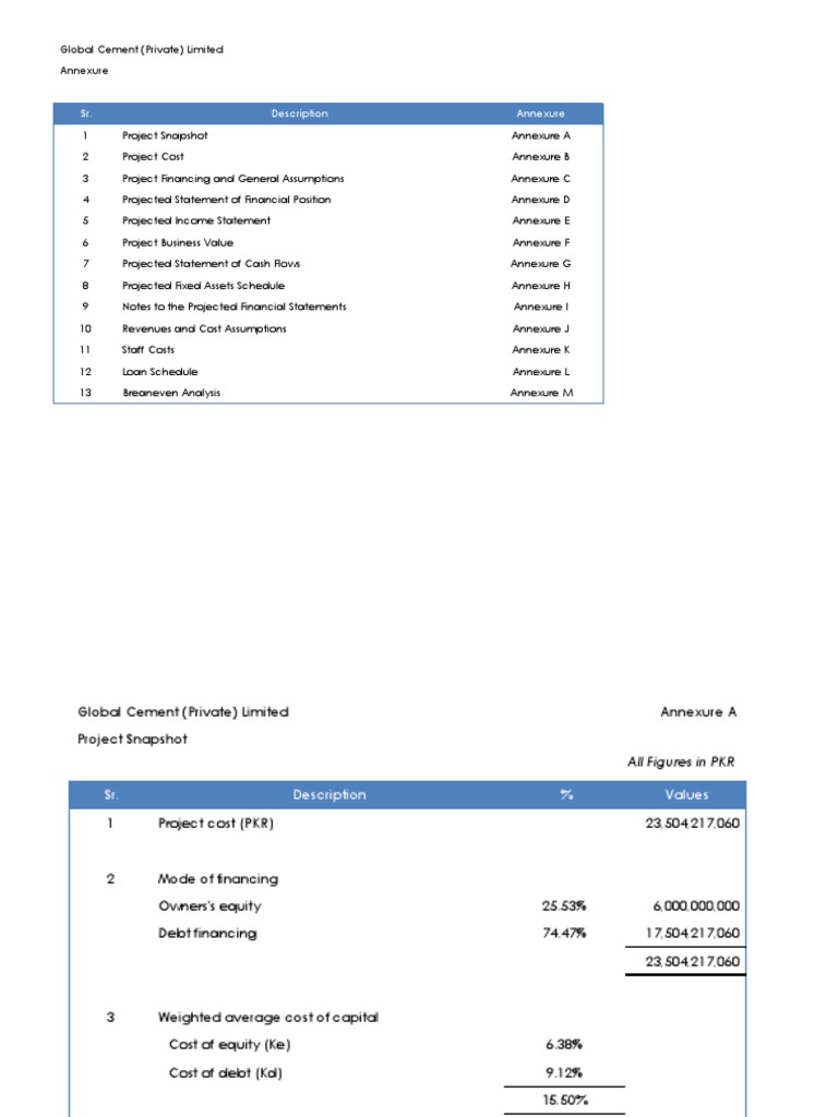 Global Cement Project Financial Overview | PDF | Net Present Value ...