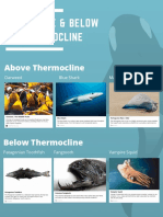Thermocline Poster