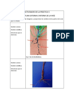 Actividades de La Práctica 5