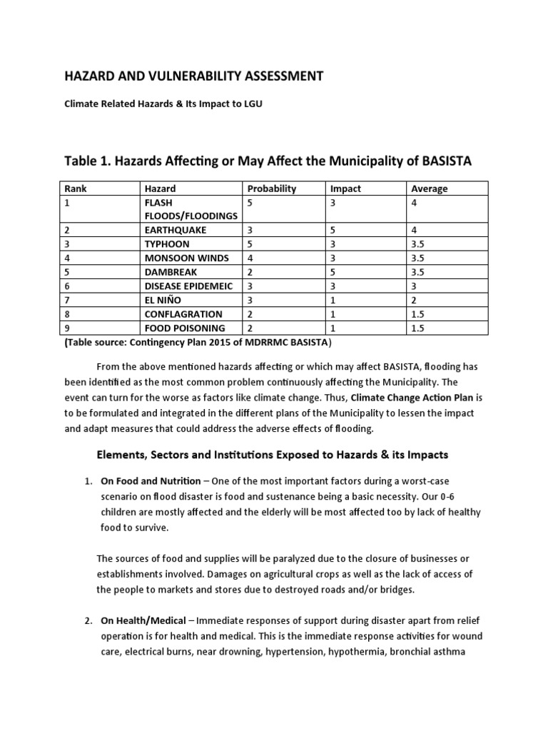 Hazard And Vulnerability Assessment Elements Sectors And Institutions
