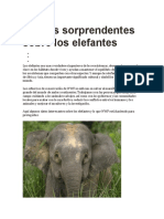 Paquidermus Vulgaris PDF