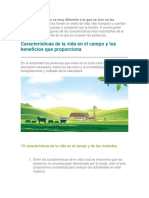 El Campo PDF