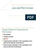 Togaviruses and Flaviviruses