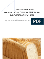 Mikroorganisme Yang Berhubungan Dengan Makanan-Mikrobiologi Pangan