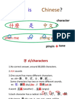 什麼是中文