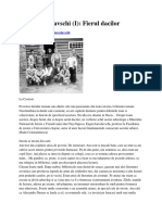 E.Iaroslavschi - Fierul Dacilor (Ziarul Financiar de Duminica, 28.sept.2007) PDF