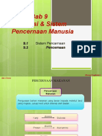 6.4 Pencernaan Makanan