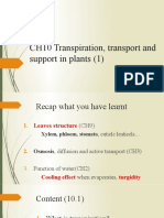 CH10 Transpiration, Transport and Support in Plants (1) : Wong Sze Ho