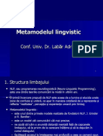 Metamodelul lingvistic 2019