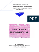 Guía Práctica, N°6, Tejido Muscular.pdf