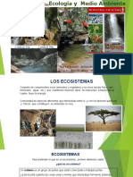 1.- Los ecosistemas , Estructura trofica..ppt