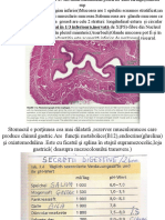 CURS 4 Stomac 21.03.2014