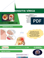 Meningitis Viral Grupo 4