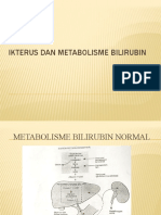 Ikterus Dan Metabolisme Bilirubin