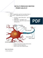 Anatomi Dan Fisologi Sistem Persyarafan