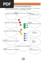 Biomolecules Recap Answer Key by The Amoeba Sisters Answerkey | PDF |  Biomolecules | Lipid