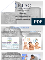 Fundamentos Psicopedagogicos Guía para El Desarrollo Del Lenguaje