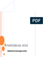 PASTEURELOZA SUINA Bun (Compatibility Mode)