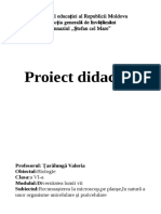 Clasa 6 Proiect de Scurtă Durată Taralunga - Odt