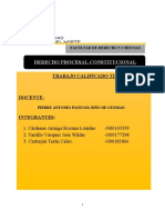 Trabajo Calificado de Derecho Procesal Constitucional